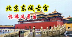 鸡巴肏骚屄免费网站不用下载中国北京-东城古宫旅游风景区